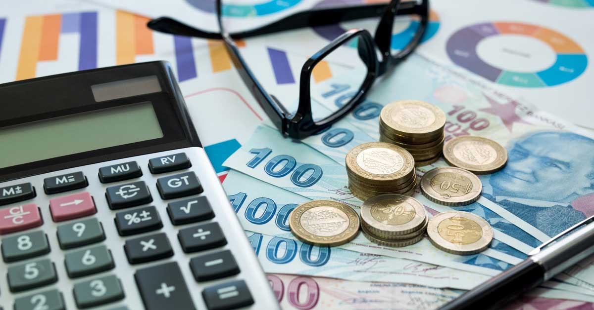 Vatandaşlık Maaşı Alabilme Şartları Nelerdir?