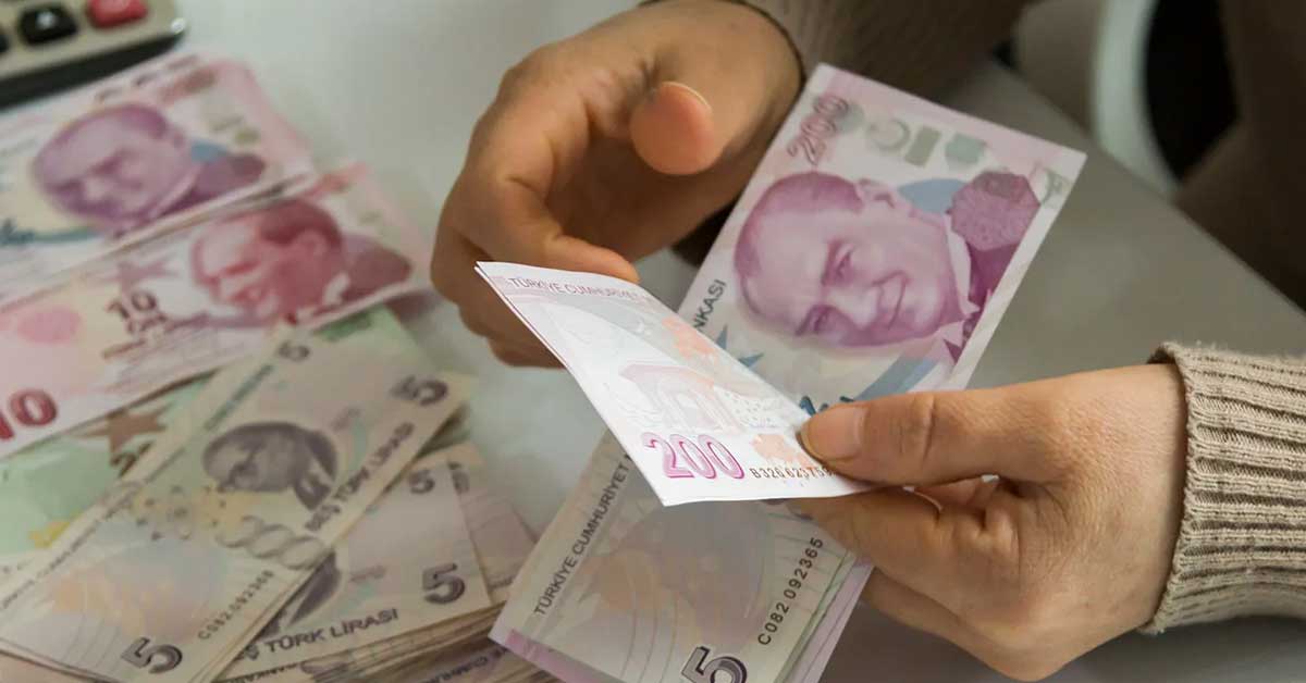 Vatandaşlık Maaşına Nasıl Başvurulur?